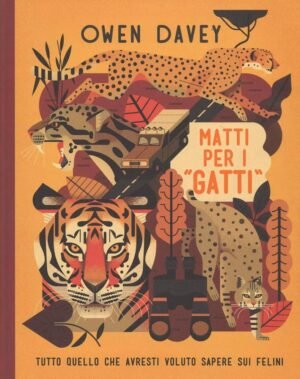 MATTI PER I GATTI stock *