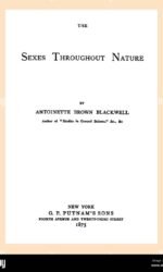 PRINCIPESSE DI CARTA FIABE CLASSICHE FORESTA stock