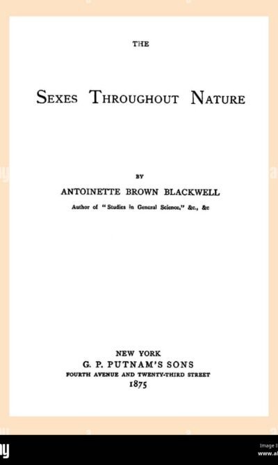 PRINCIPESSE DI CARTA FIABE CLASSICHE FORESTA stock