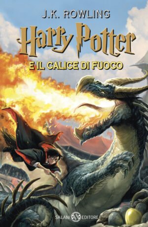 HARRY POTTER E IL CALICE DI FUOCO 4