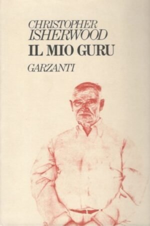 Il mio guru