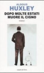 Dopo molte estati muore il cigno