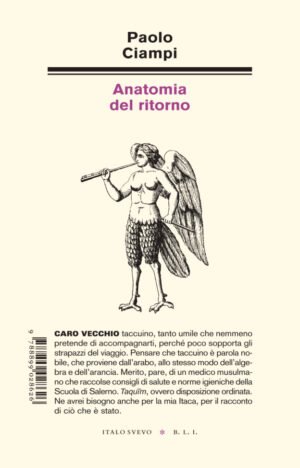 Francesco Biamonti tra parole e immagini
