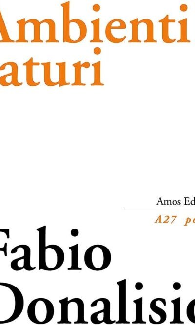 Ambienti saturi: (il libro delle cose)