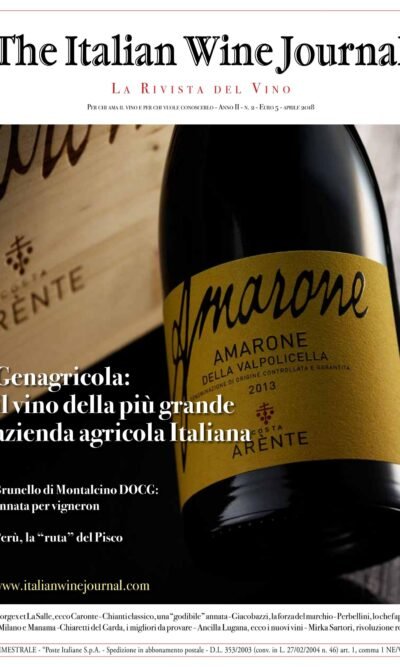 L'arte del bere giusto. Dalla vigna al servizio del vino