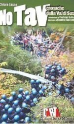 No TAV. Cronache dalla Val di Susa