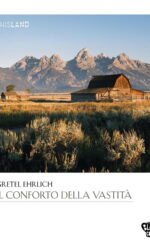 IL CONFORTO DELLA VASTITA'