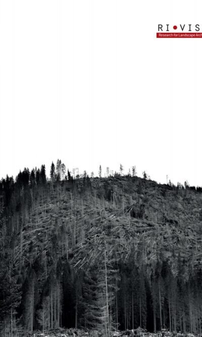 L'architetto e la foresta pastorale nera