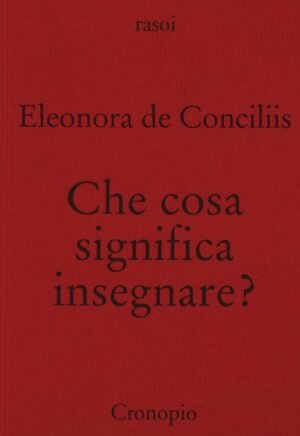 CHE COSA SIGNIFICA INSEGNARE