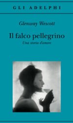 Il falco pellegrino