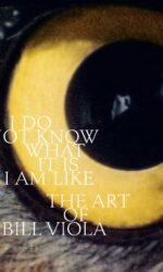 I Do Not Know What It Is I Am Like: The Art of Bill Viola