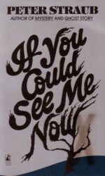 If You Could See Me Now