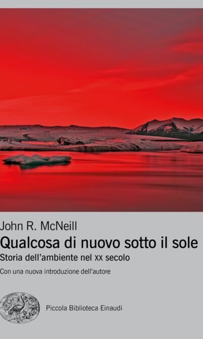 Qualcosa di nuovo sotto il sole: Storia dell'ambiente nel XX secolo