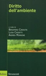 Diritto dell'ambiente