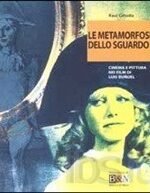 Le metamorfosi dello sguardo