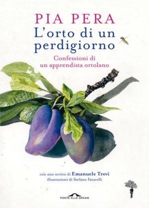 L'orto di un perdigiorno: Confessioni di un apprendista ortolano