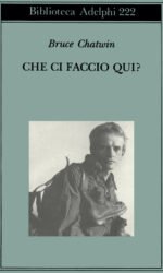 CHE CI FACCIO QUI? 19,50 offerta