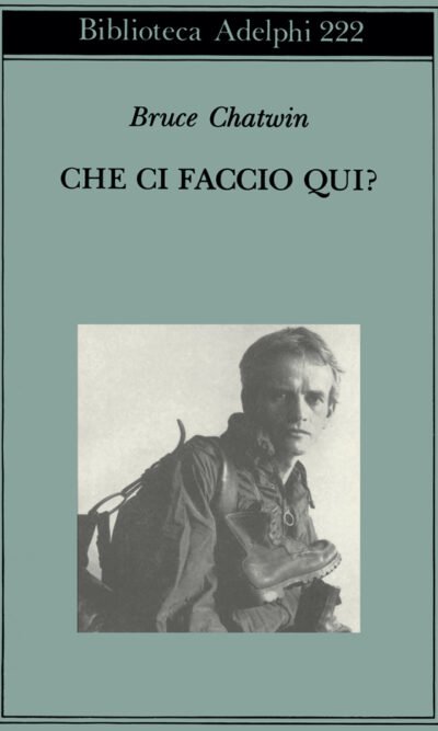 CHE CI FACCIO QUI? 19,50 offerta