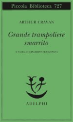 Grande trampoliere smarrito