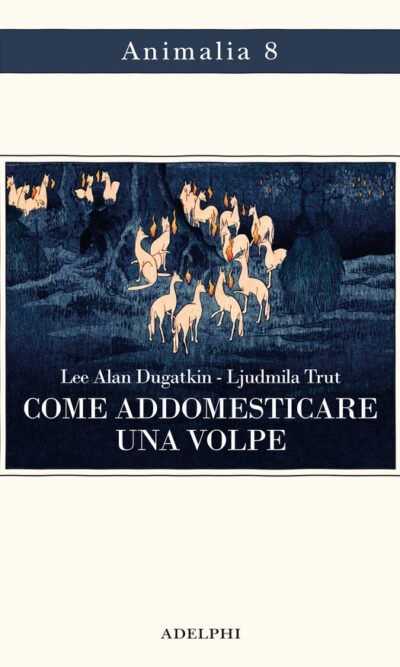 Come addomesticare una volpe