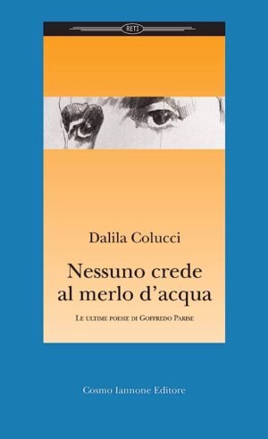 Nessuno crede al merlo d'acqua: le ultime poesie di Goffredo Parise