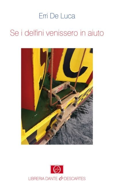 Se i delfini venissero in aiuto