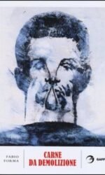 Carne da demolizione