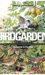 BIRDGARDEN 2 EDIZIONE