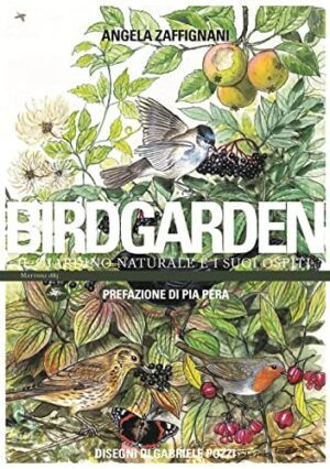 BIRDGARDEN 2 EDIZIONE