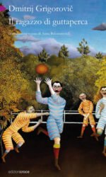 Il ragazzo di guttaperca