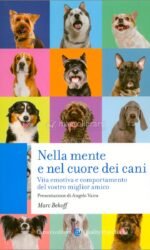 Insieme ai nostri amici animali per imparare a rispettarli