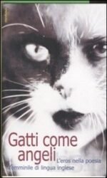 Gatti come angeli
