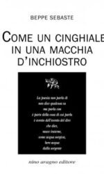 Come un cinghiale in una macchia d'inchiostro