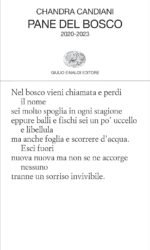 Pane del bosco. 2020-2023