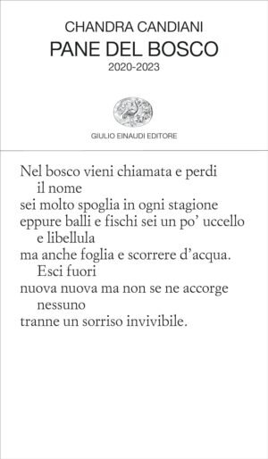 Pane del bosco. 2020-2023