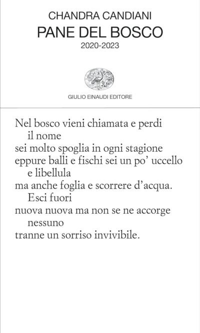 Pane del bosco. 2020-2023