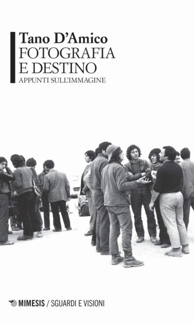 Pittura, fotografia, film