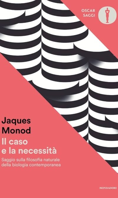 IL CASO E LA NECESSITA' usato