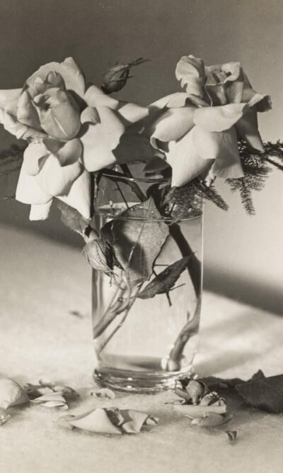 FC 22-23 SUMMER 1961 FILM COMMENT raro