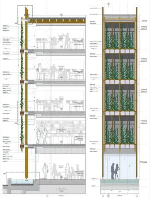 IL MUSE DI RENZO PIANO
