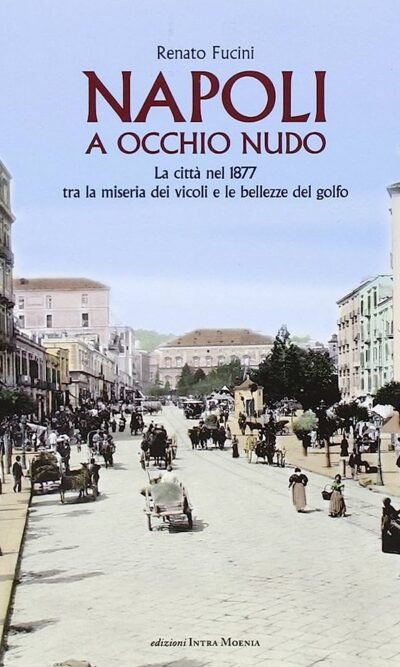 Napoli a occhio nudo. La città nel 1877 tra la miseria dei vicoli e le bellezze del golfo