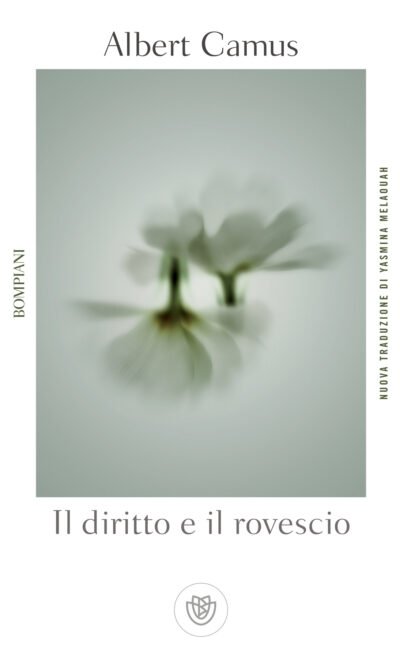 Il diritto e il rovescio