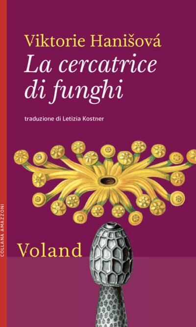 La cercatrice di funghi