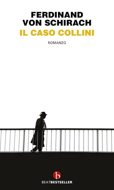 IL CASO COLLINI