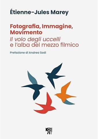 Fotografia Immagine Movimento Il Volo Degli Uccell