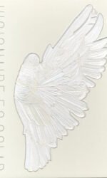 VISIONAIRE 56 SOLAR raro